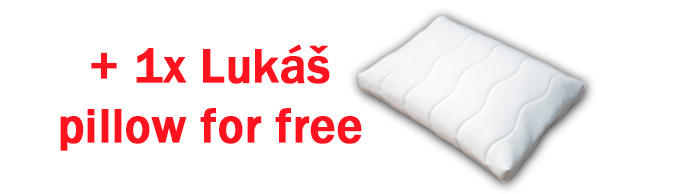 2 Lukáš pillow for free Lukáš pillow for free